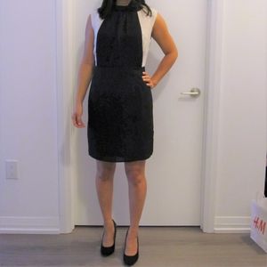 LAST CHANCE SALE Forever 21 dress